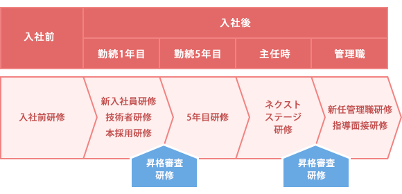 人材育成